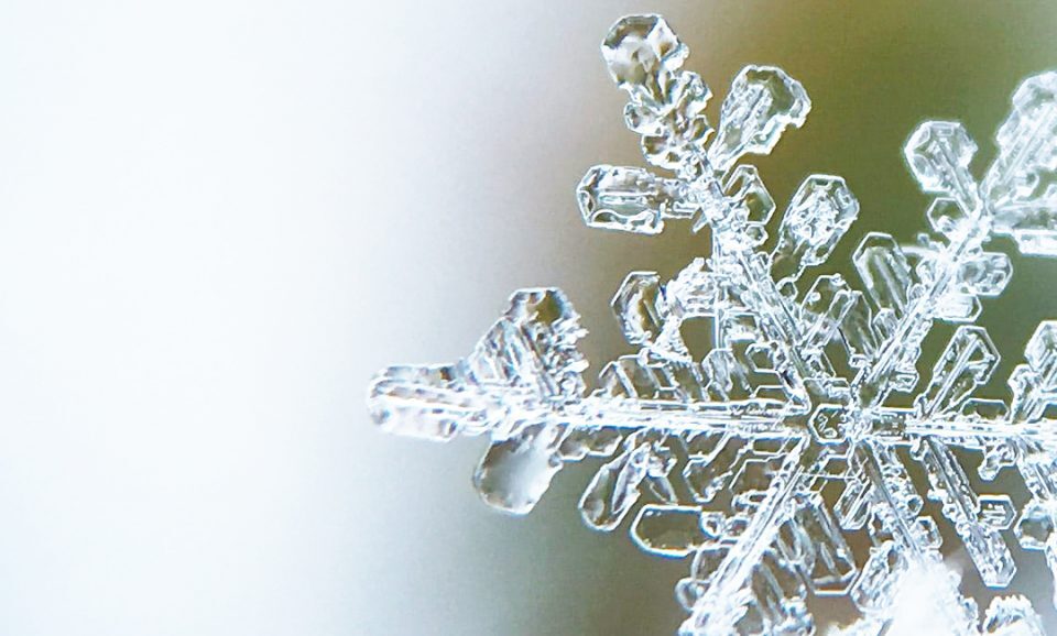 Entrepreneurship lessons