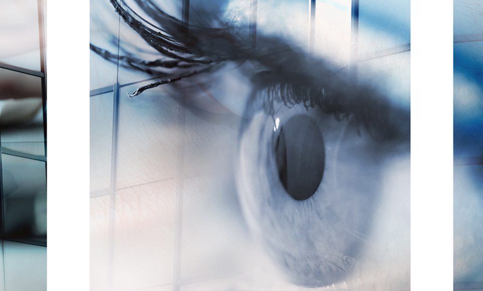 Macro and Micro Strategy in Business and Marketing